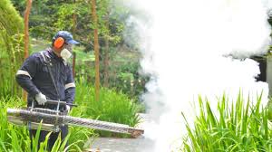 Best Pest Exclusion Services  in Earlington, KY